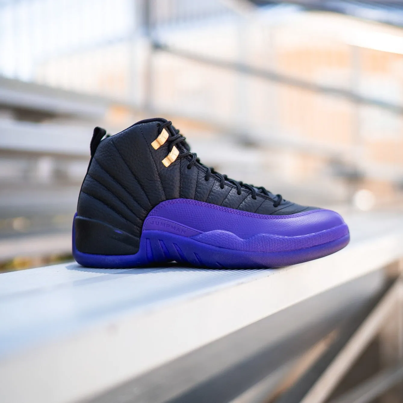 Air Jordan 12 Retro (Field Purple)