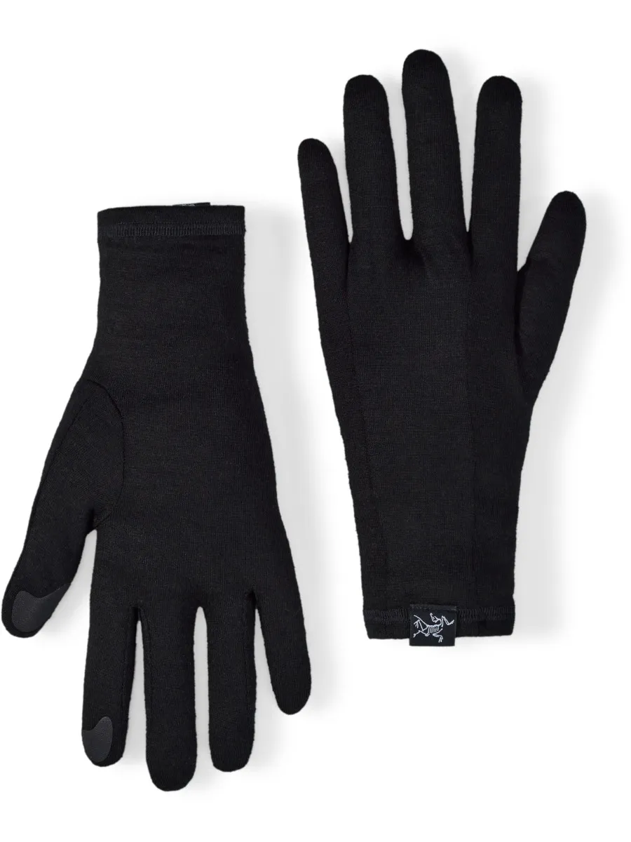 Arcteryx Gothic Glove