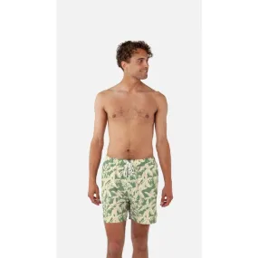 Barts Baltra Boardshorts for Men