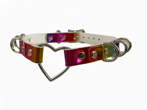 Colorful pet collar.