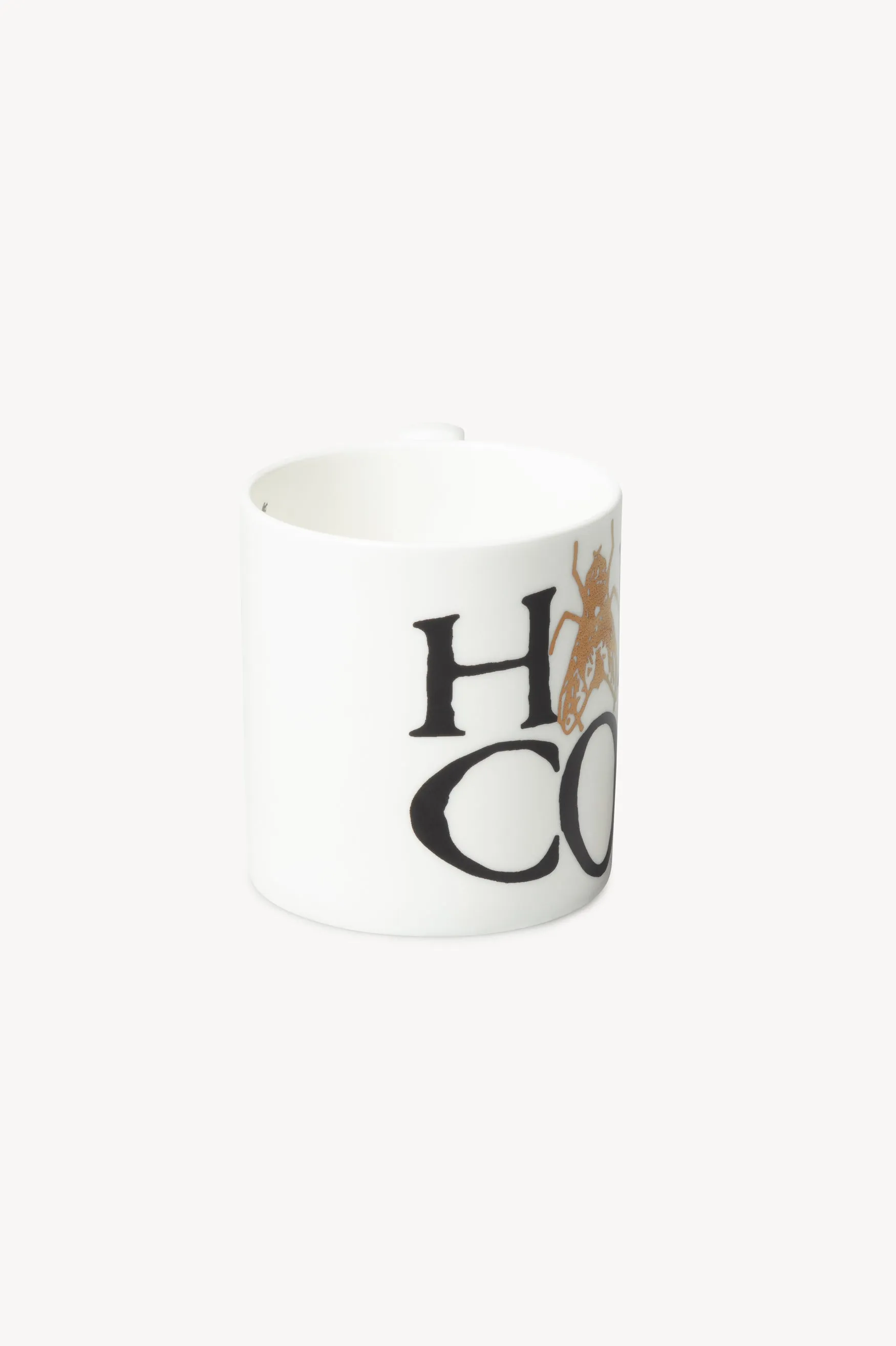 Fly Mug for Hardcore Enthusiasts