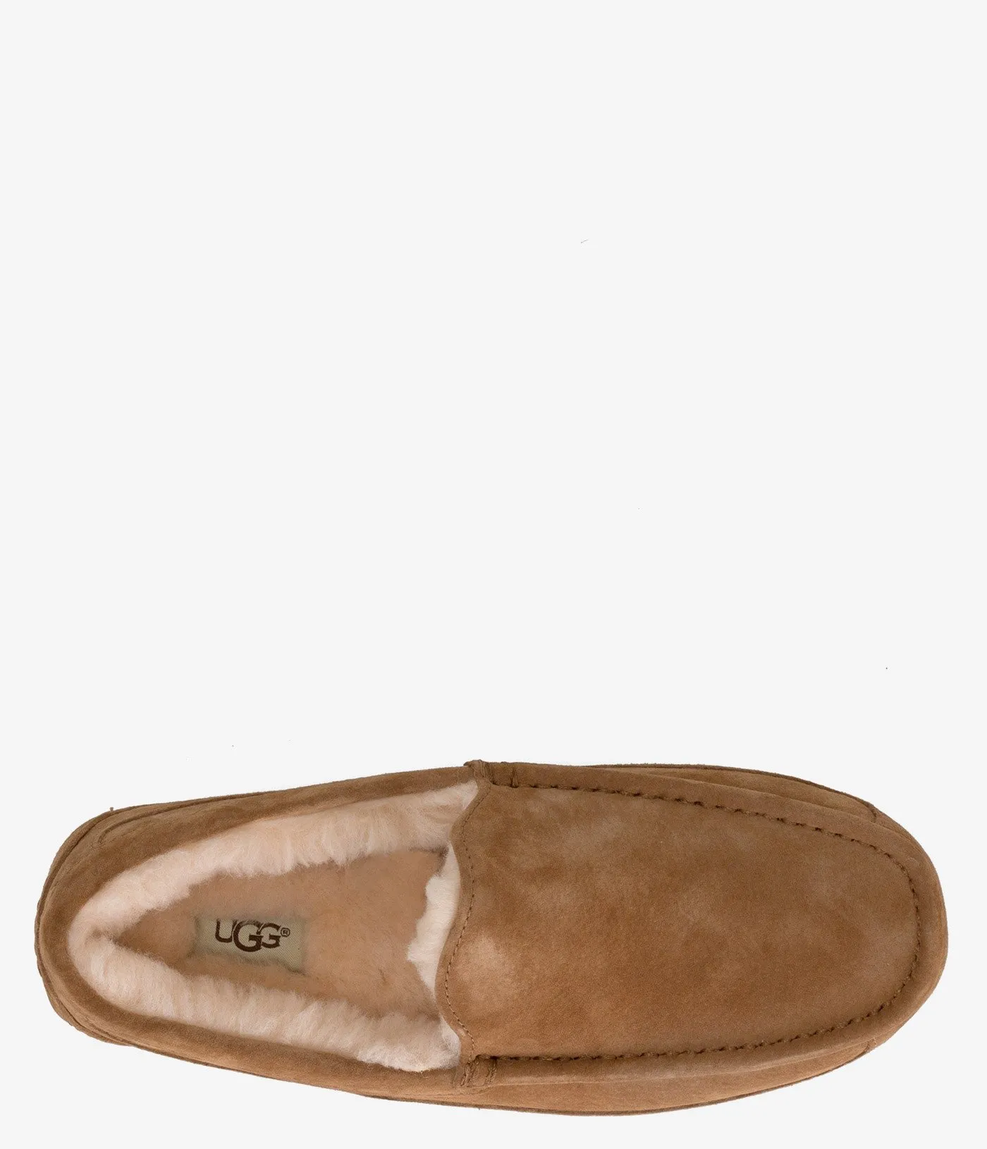 UGG Ascot Slipper