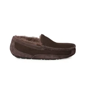 UGG Ascot Wool Men's Slippers - Stout Color